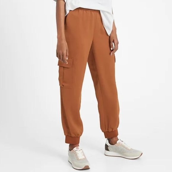 Banana Republic Pants - Banana Republic Satin Cargo Jogger in Spice